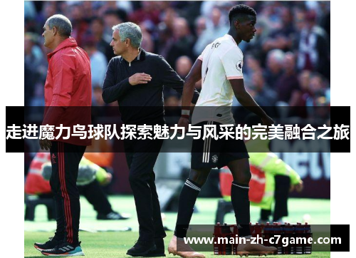 走进魔力鸟球队探索魅力与风采的完美融合之旅 走进魔力鸟球队探索魅力与风采的完美融合之旅