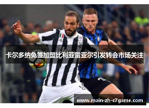 卡尔多纳免签加盟比利亚雷亚尔引发转会市场关注 卡尔多纳免签加盟比利亚雷亚尔引发转会市场关注