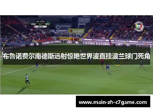 布鲁诺费尔南德斯远射惊艳世界波直挂波兰球门死角