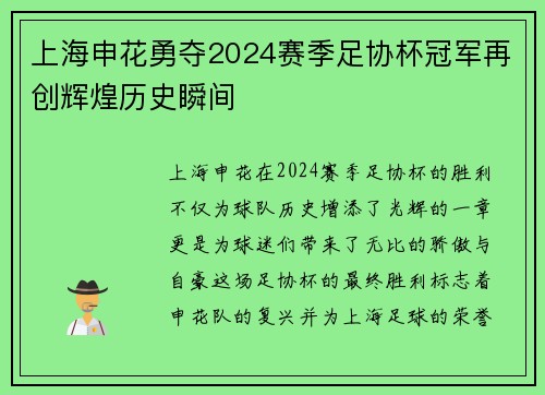 上海申花勇夺2024赛季足协杯冠军再创辉煌历史瞬间